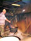 bac�wka w bia�ce tatrza�skiej